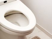 toilet-odor